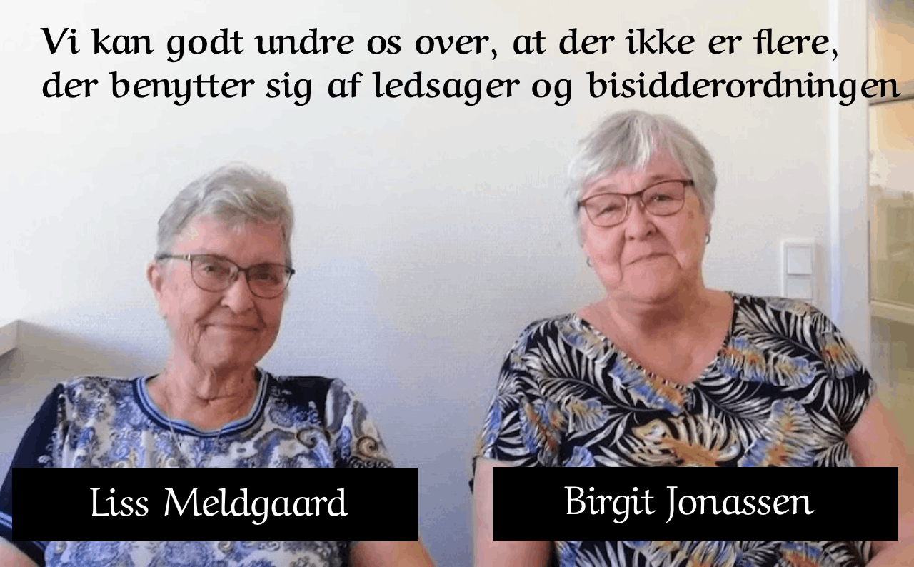 Interview med Liss Meldgaard, Røde Kors og Birgit Jonassen, Ældre Sagen